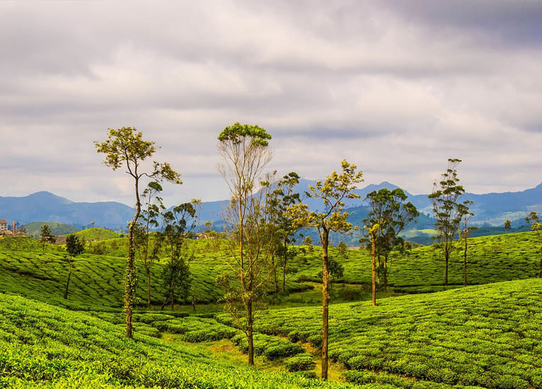 Valparai